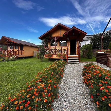 Baltina Parc Transfagarasan Curtea de Argeş Exterior foto