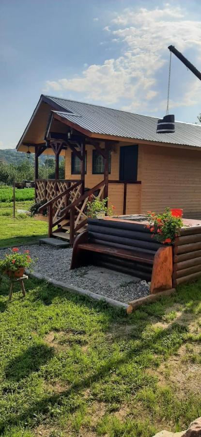 Baltina Parc Transfagarasan Curtea de Argeş Exterior foto
