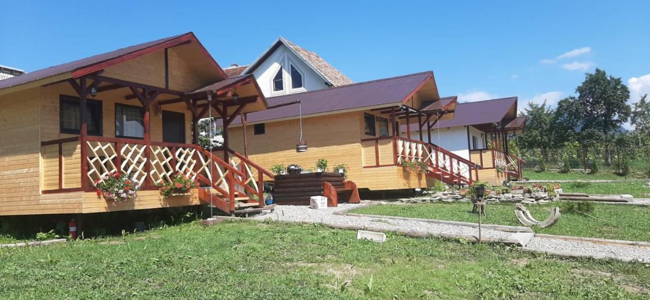 Baltina Parc Transfagarasan Curtea de Argeş Exterior foto