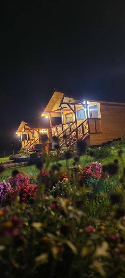 Baltina Parc Transfagarasan Curtea de Argeş Exterior foto