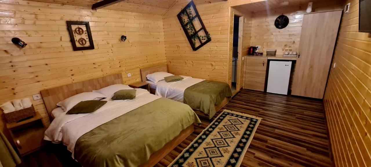 Baltina Parc Transfagarasan Curtea de Argeş Exterior foto