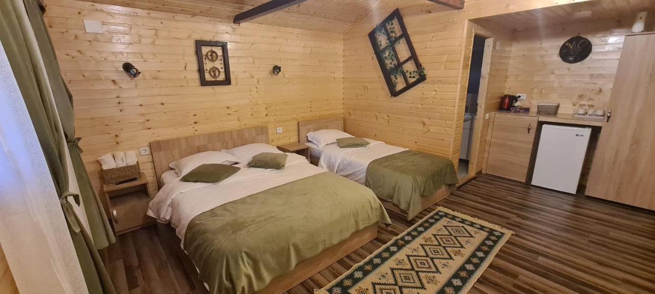 Baltina Parc Transfagarasan Curtea de Argeş Exterior foto