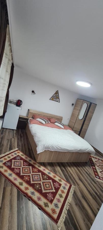 Baltina Parc Transfagarasan Curtea de Argeş Exterior foto