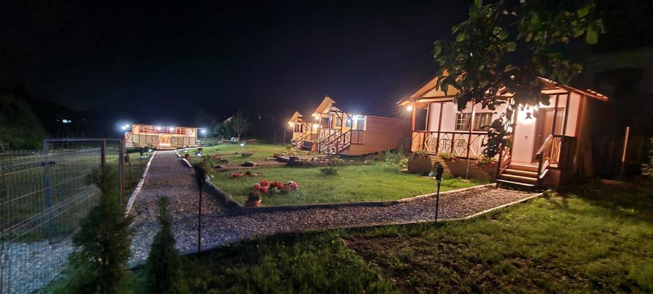 Baltina Parc Transfagarasan Curtea de Argeş Exterior foto