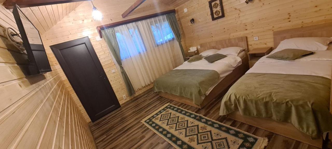 Baltina Parc Transfagarasan Curtea de Argeş Exterior foto