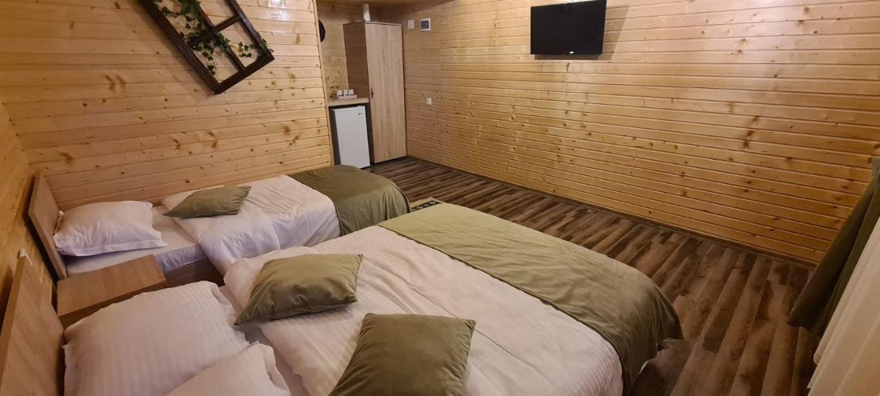 Baltina Parc Transfagarasan Curtea de Argeş Exterior foto