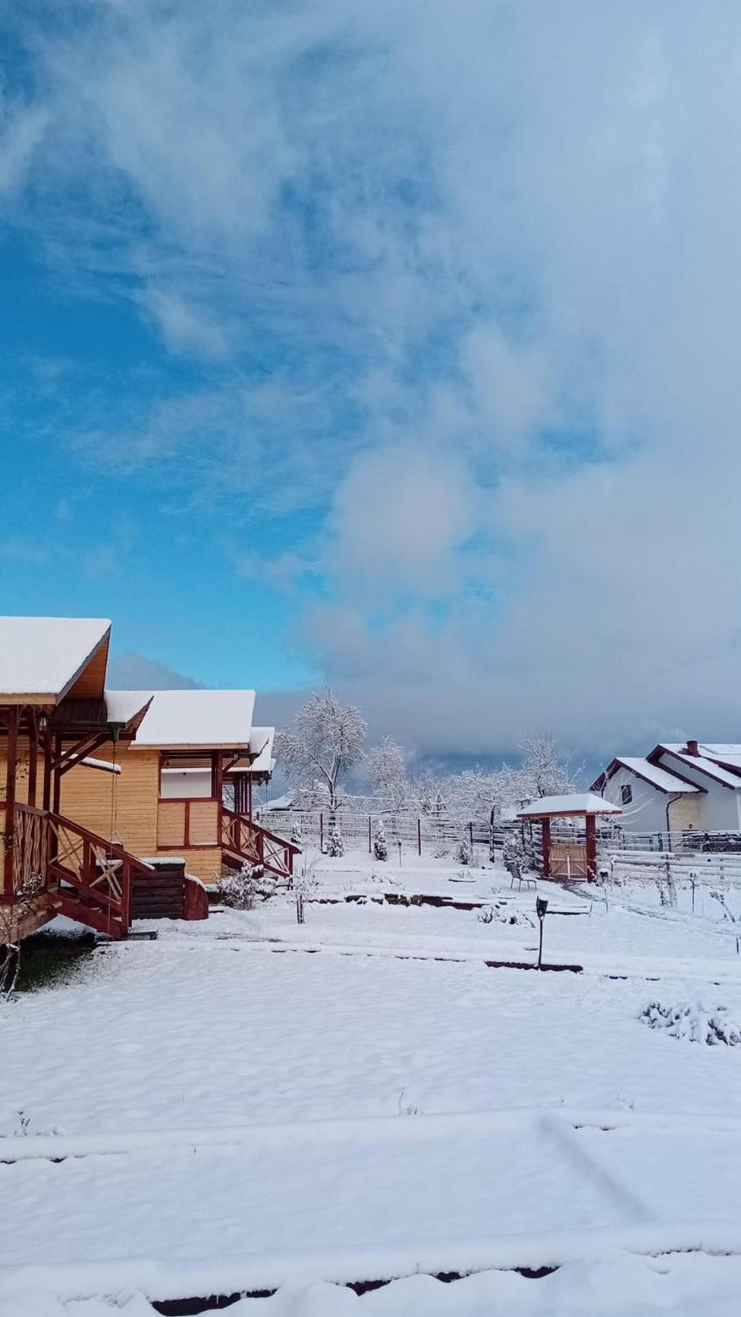 Baltina Parc Transfagarasan Curtea de Argeş Exterior foto