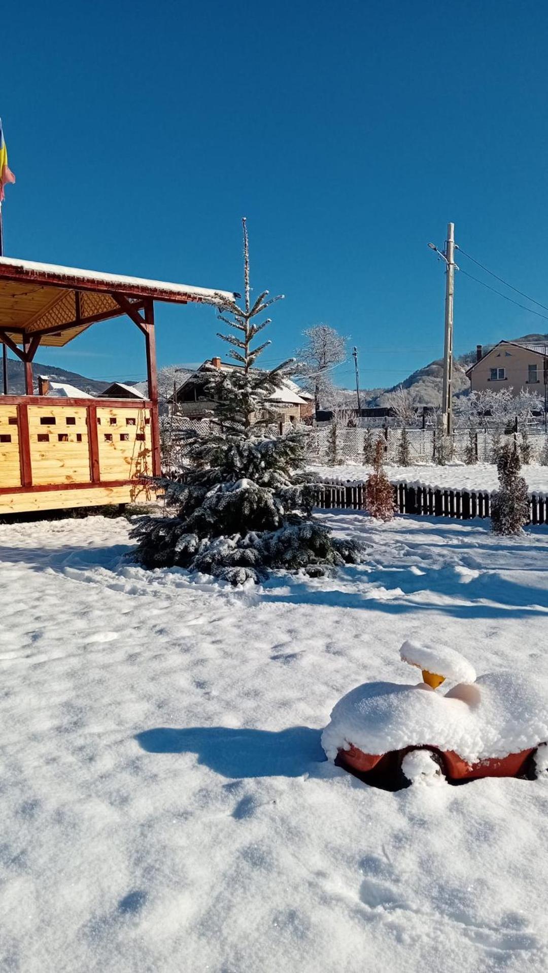 Baltina Parc Transfagarasan Curtea de Argeş Exterior foto