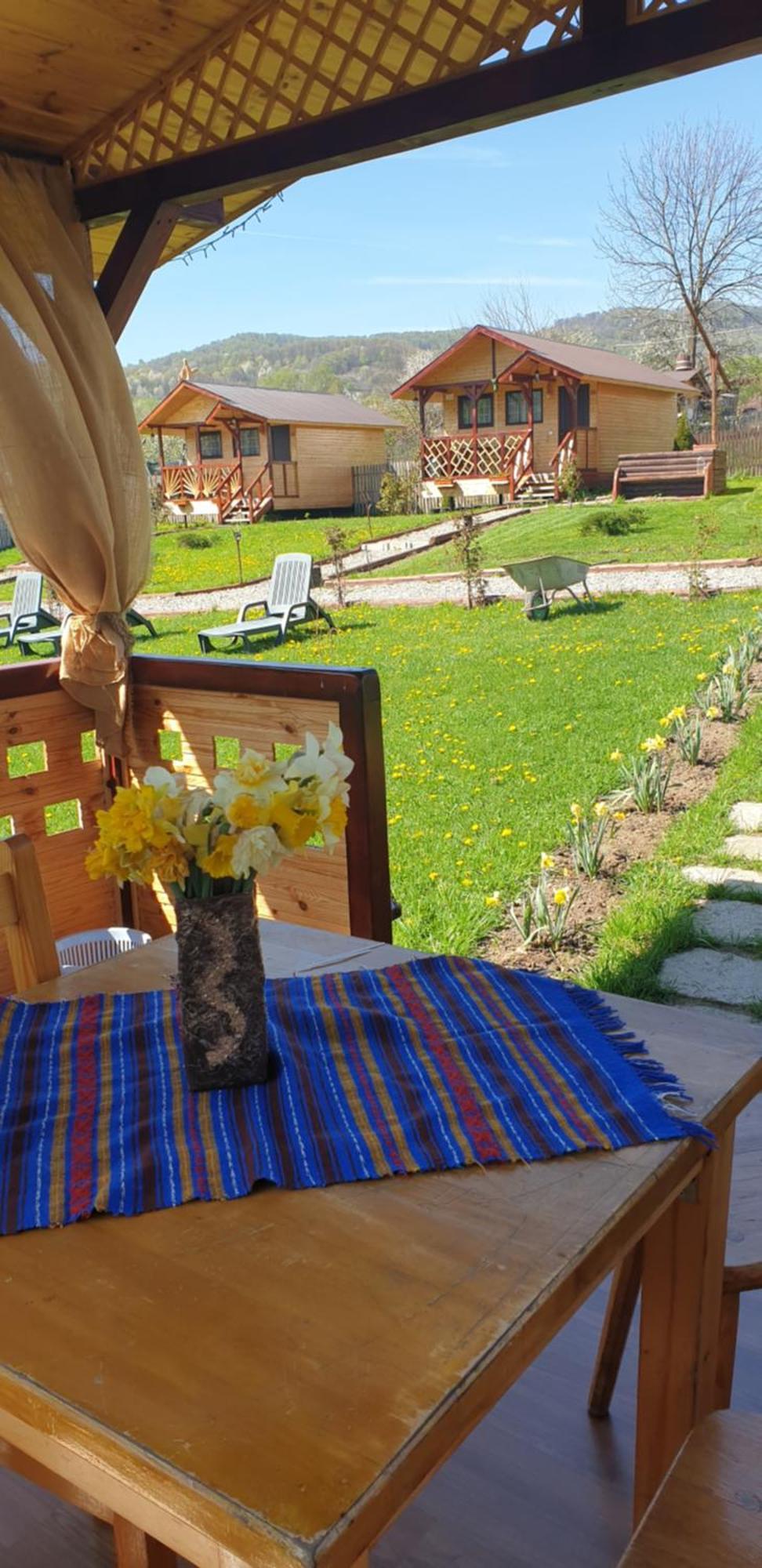 Baltina Parc Transfagarasan Curtea de Argeş Exterior foto