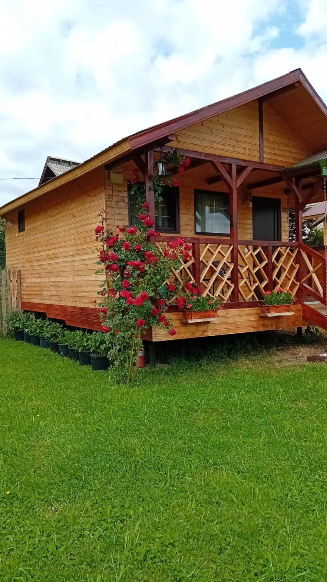 Baltina Parc Transfagarasan Curtea de Argeş Exterior foto