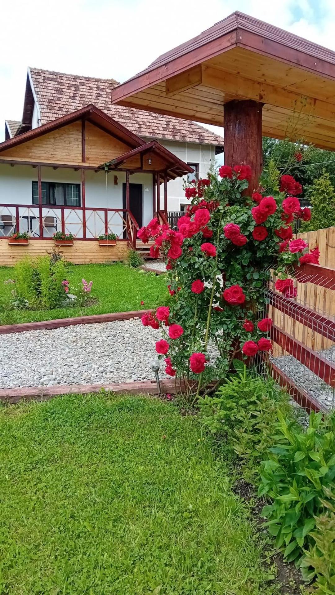 Baltina Parc Transfagarasan Curtea de Argeş Exterior foto