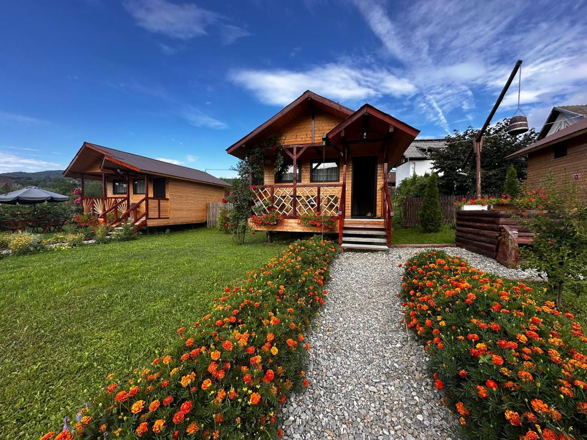 Baltina Parc Transfagarasan Curtea de Argeş Exterior foto