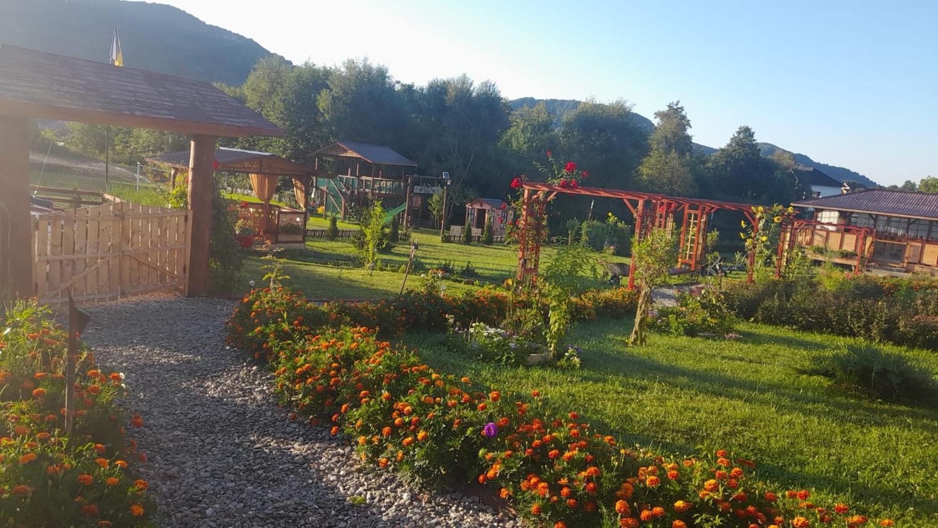 Baltina Parc Transfagarasan Curtea de Argeş Exterior foto