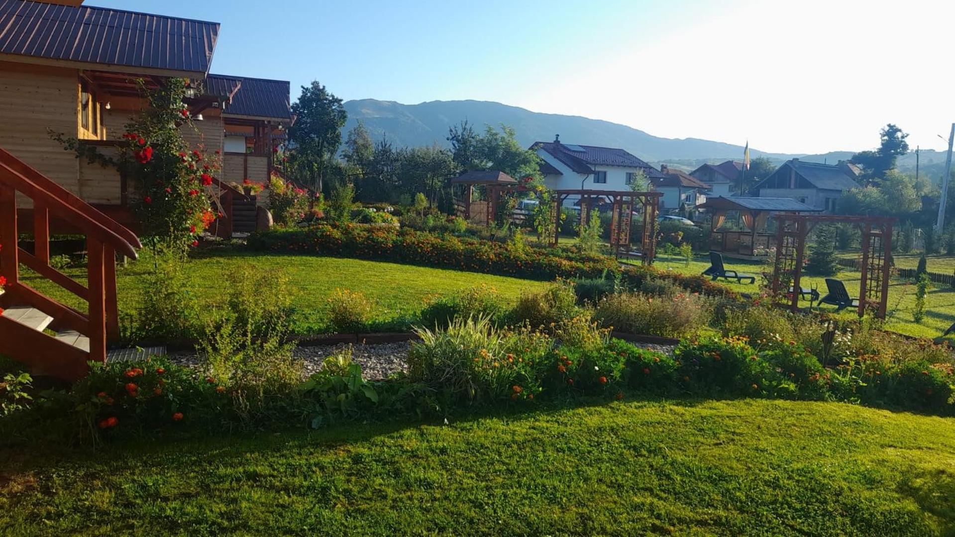 Baltina Parc Transfagarasan Curtea de Argeş Exterior foto